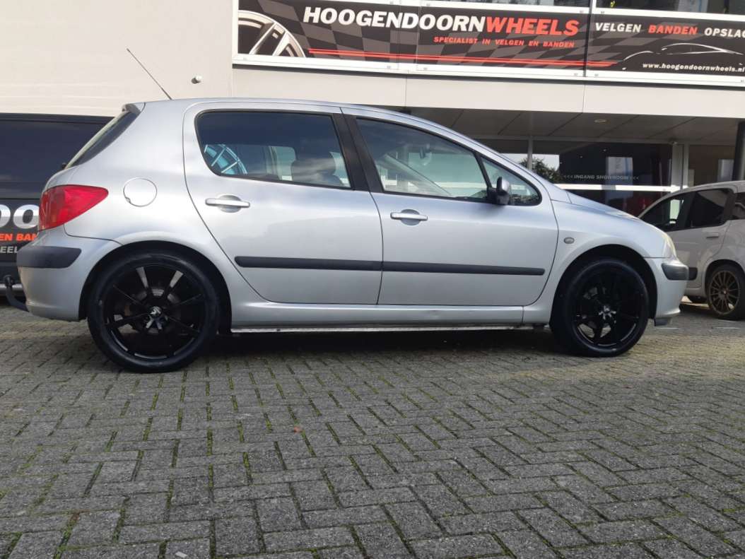 Lam Viva studio PEUGEOT 307 (3A/C, 3B, 3E, 3H) - IT WHEELS ALISIA