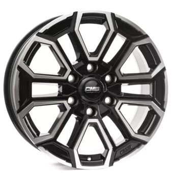 CMS C35