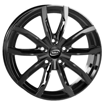 MIM EVO001