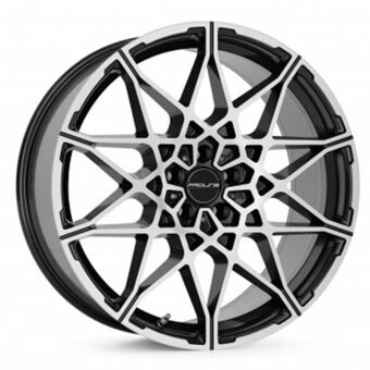 PROLINE WHEELS PCM